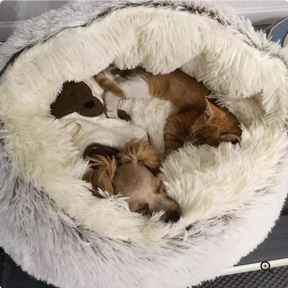 Winter Pet Bed
