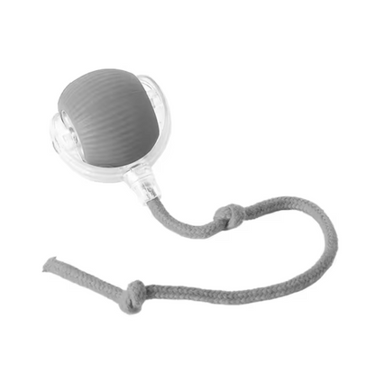 Rolling Kitty Toy