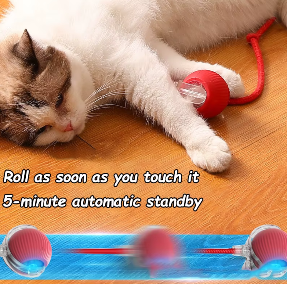 Rolling Kitty Toy